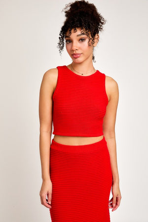 Red Robin Beautiful Skirt and Tank Set